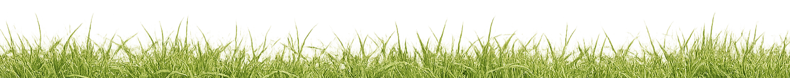 Adorno de hierba natural